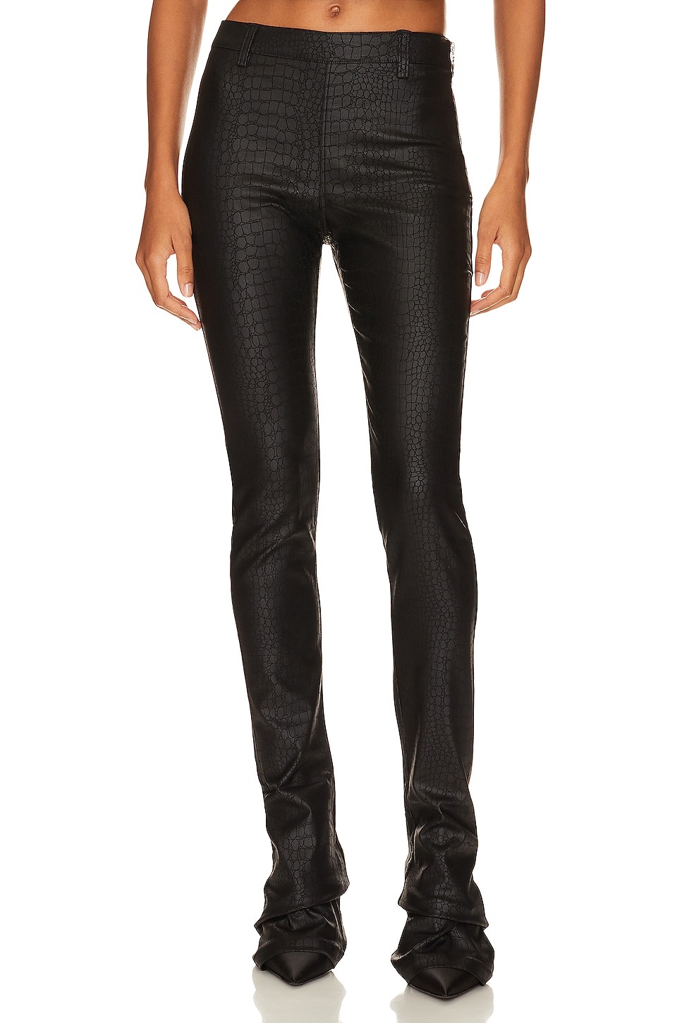 Danica Pant - 1