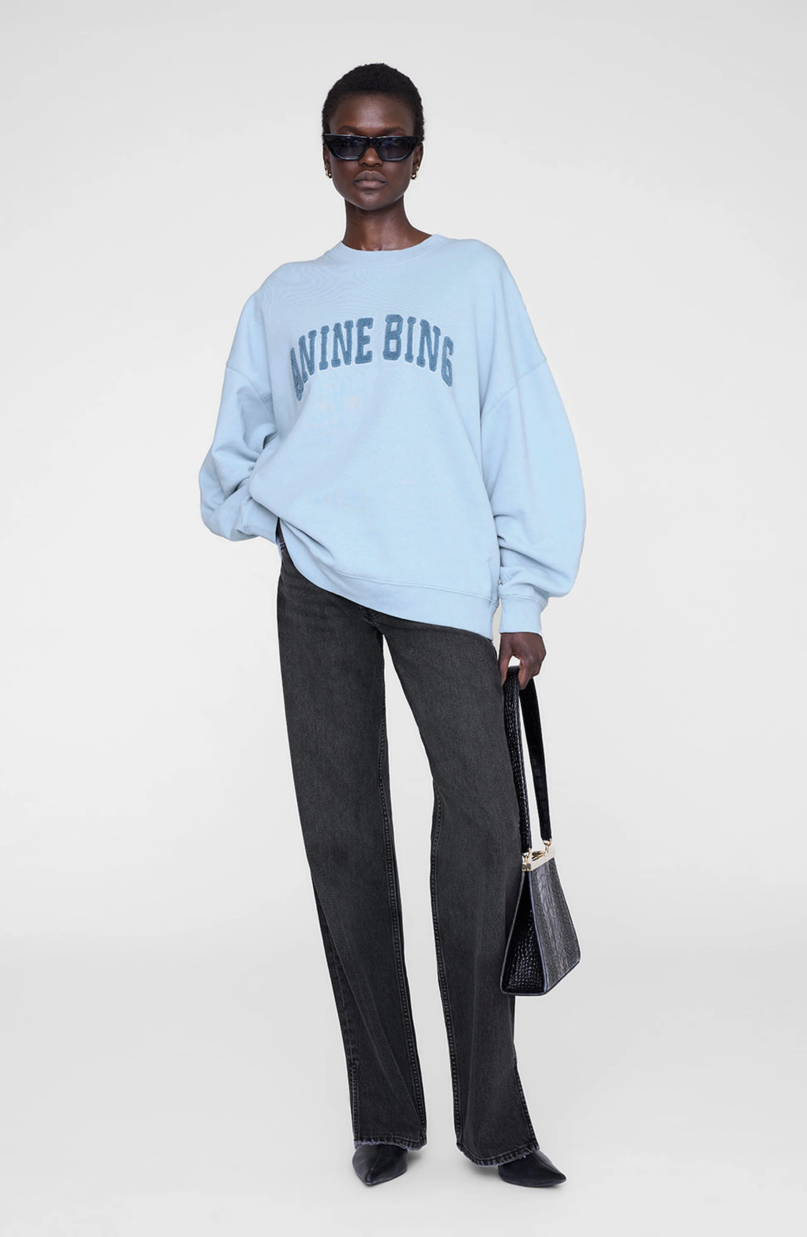 ANINE BING Miles Sweatshirt in Pale Blue at Nordstrom - 1