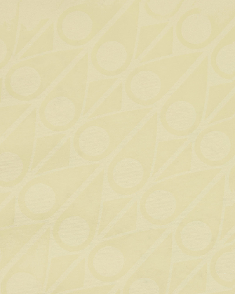 ICON LOGO SWIM SHORTS 5