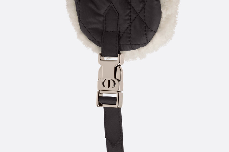 Dior Frost Shapka 13