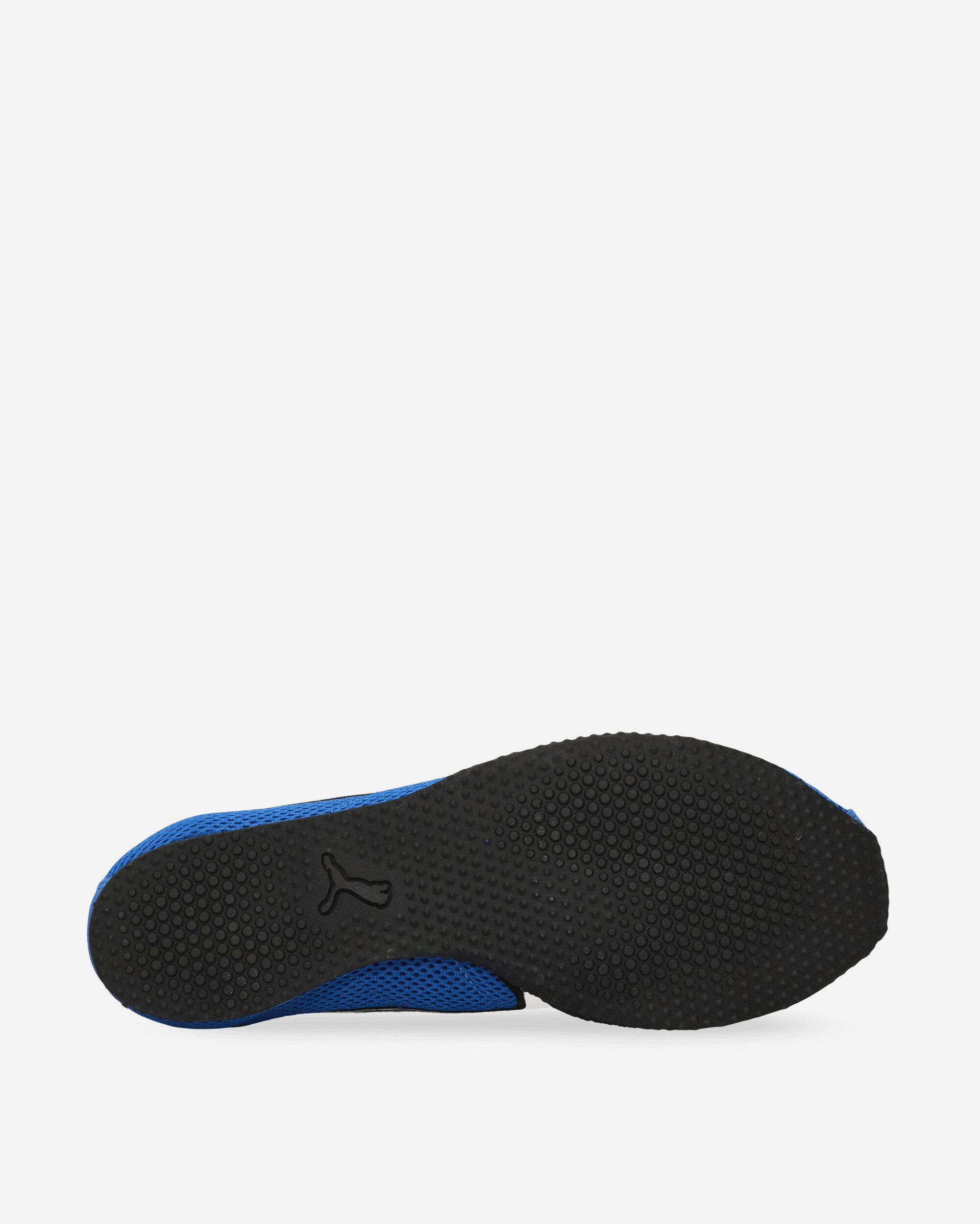 H-Street Track & Field Sneakers Team Royal / White - 5