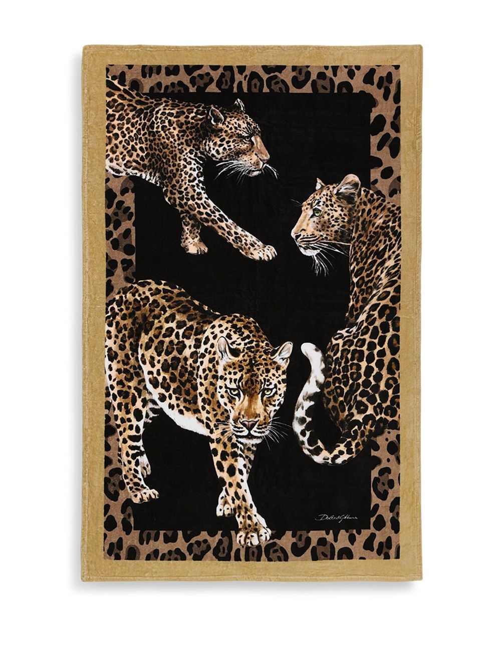 terry cotton beach towel - 2