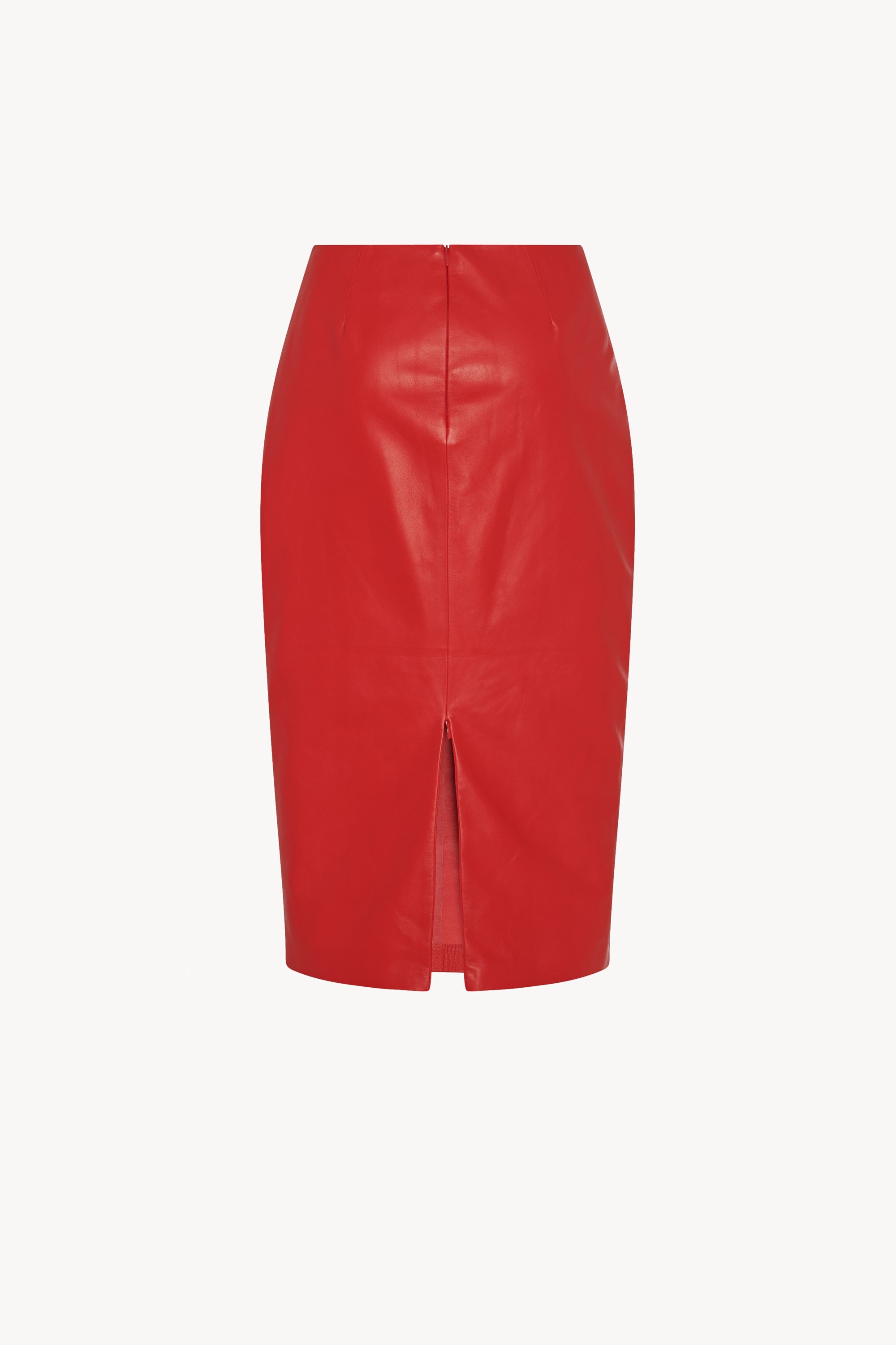 Bartellette Skirt in Leather - 3