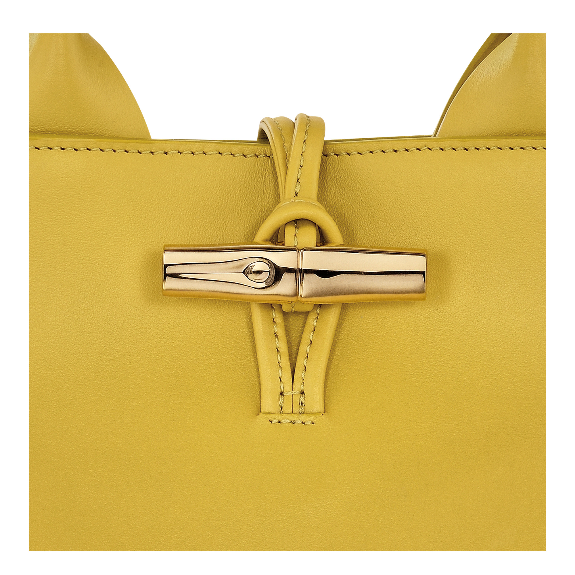 Le Roseau S Handbag Ginger - Leather - 7