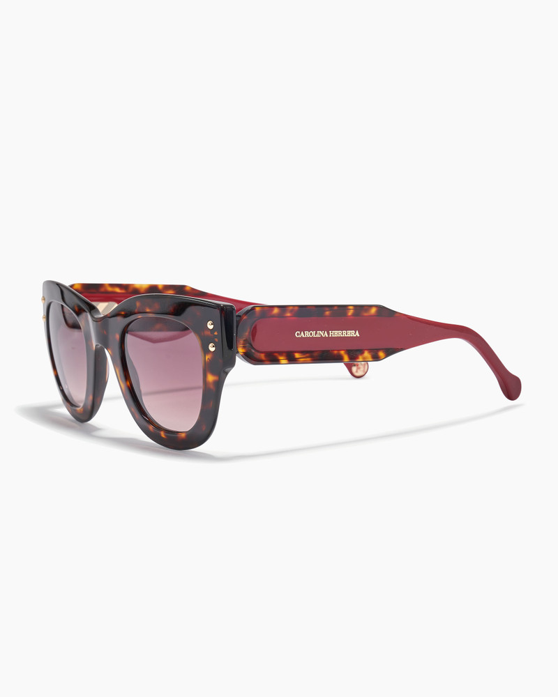 Round Frame Sunglasses With Contrast Temples 3