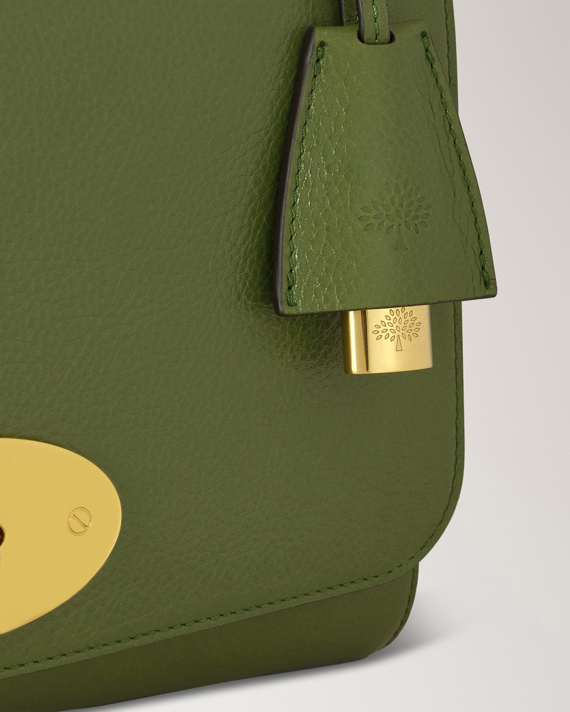 Medium Lily Fern High Shine Leather 4