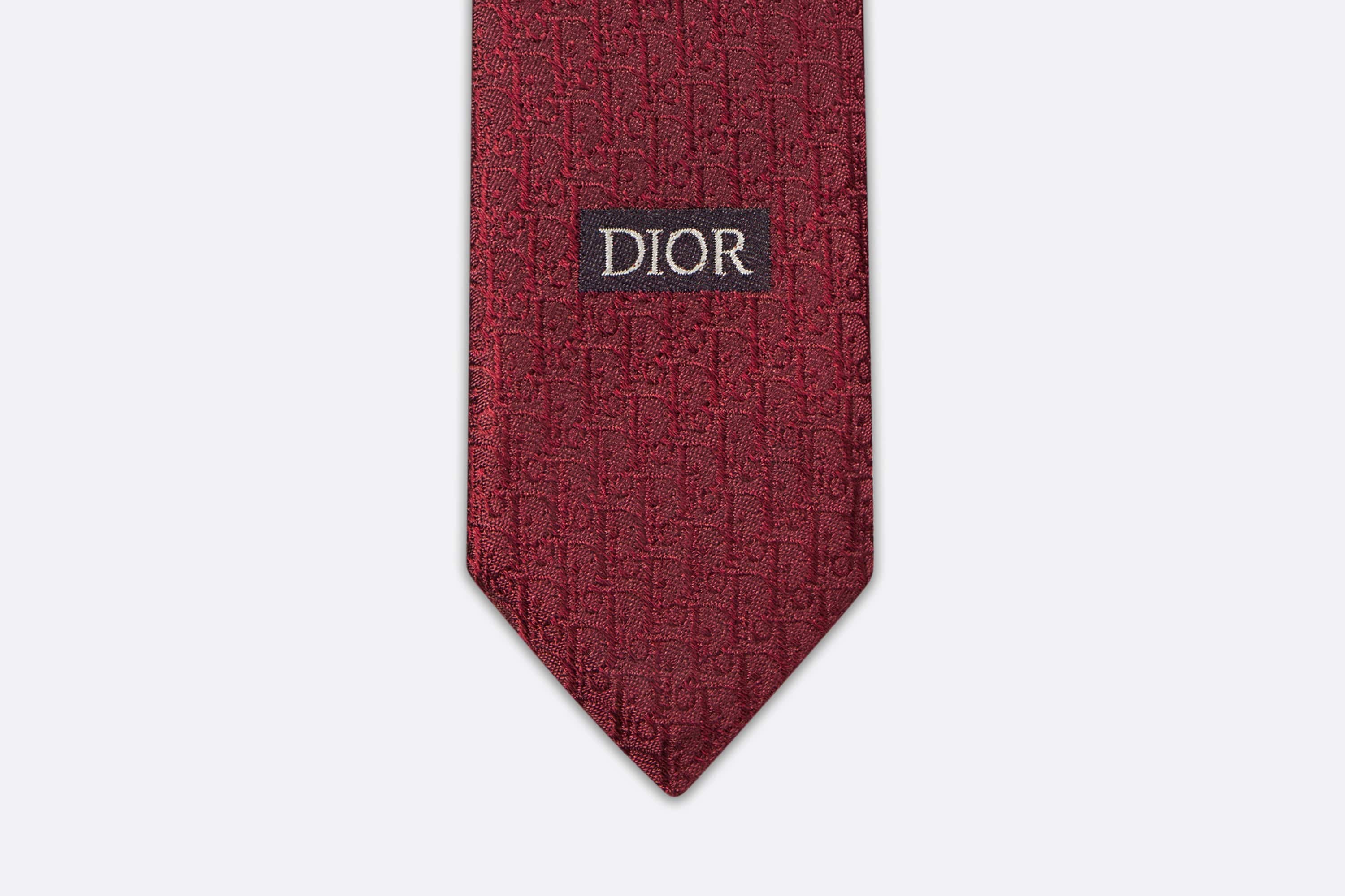 Dior Oblique Tie - 4