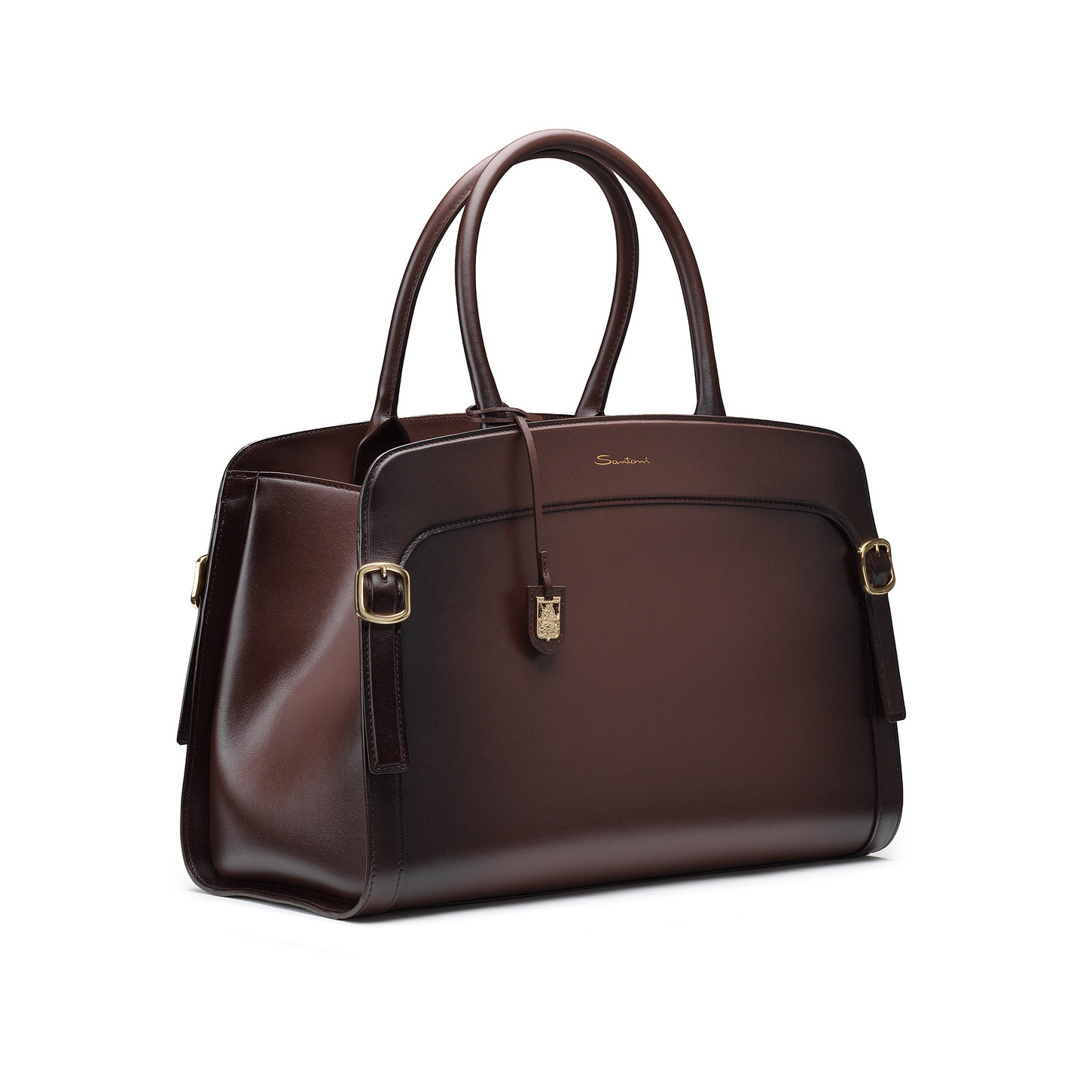 Brown leather Meraviglia Collection handbag - 2