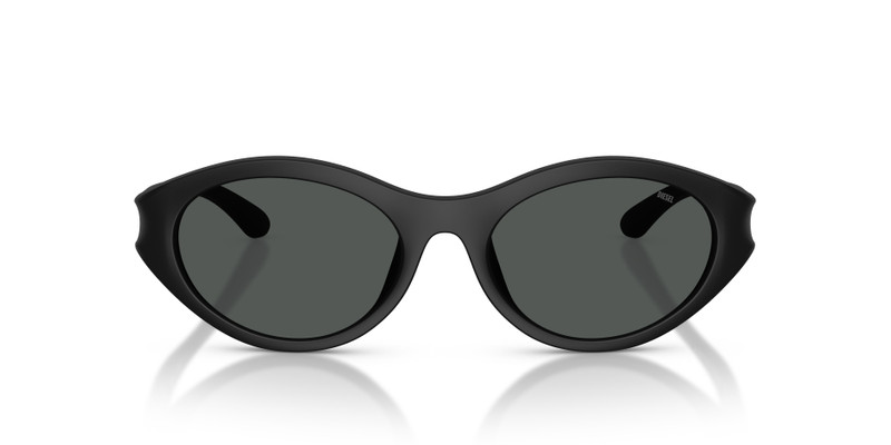 Diesel DL3005U outlook