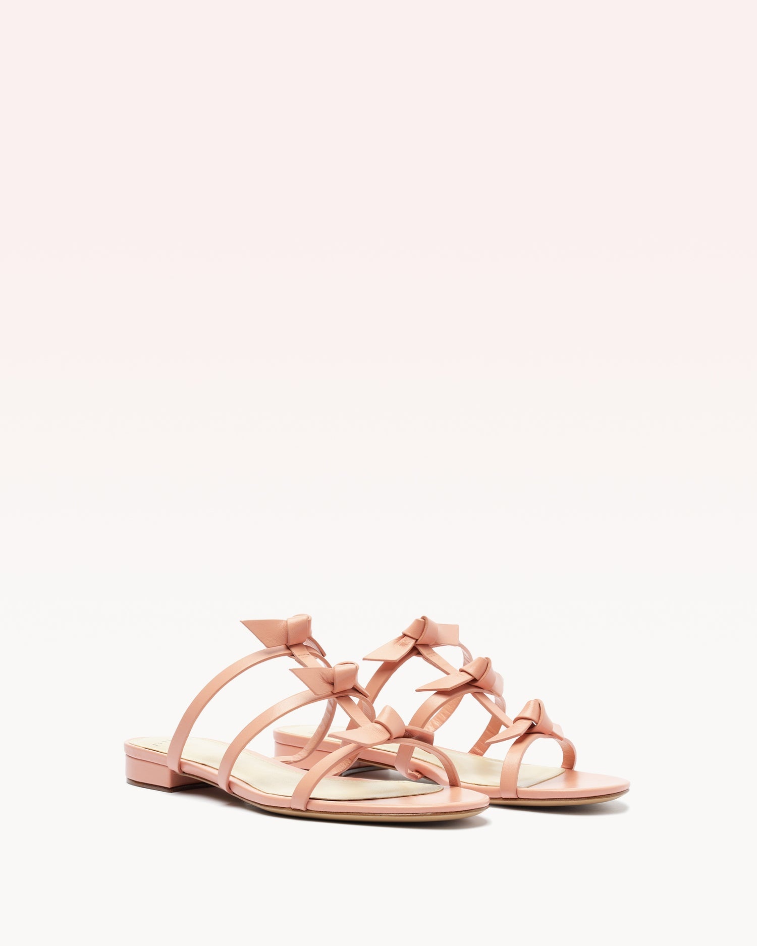 SLIM LOLITA SLIDE ROSE - 2