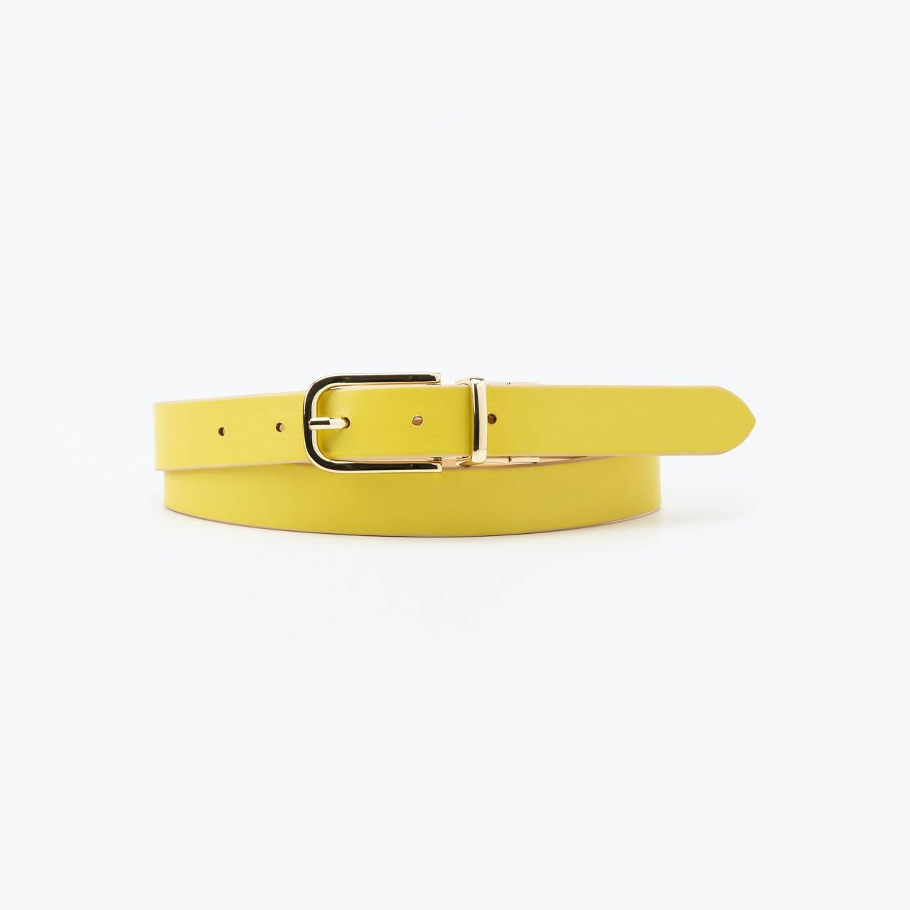 REVERSIBLE BELT - 2