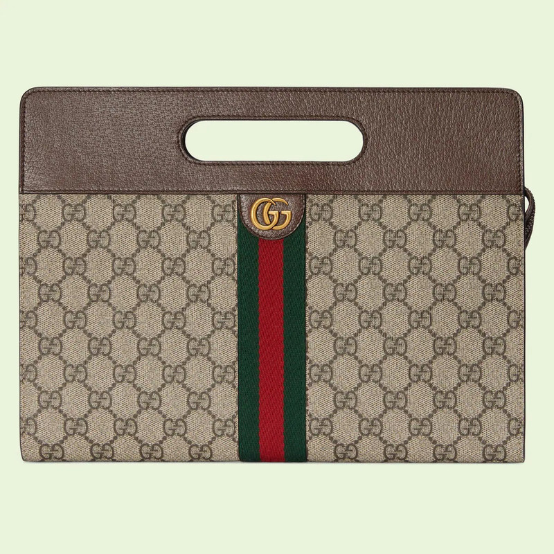 Ophidia top handle pouch 1