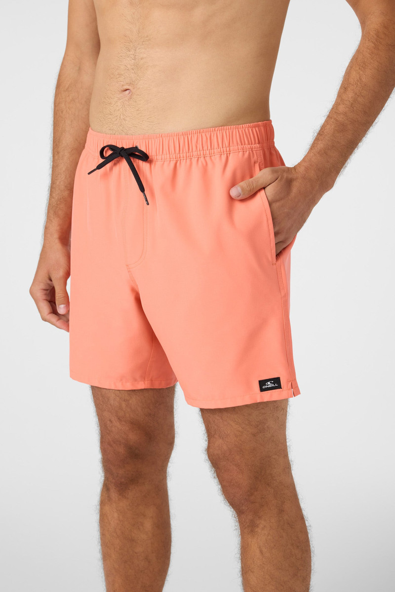 Lennox Hermosa Solid 17" Swim Trunks 5