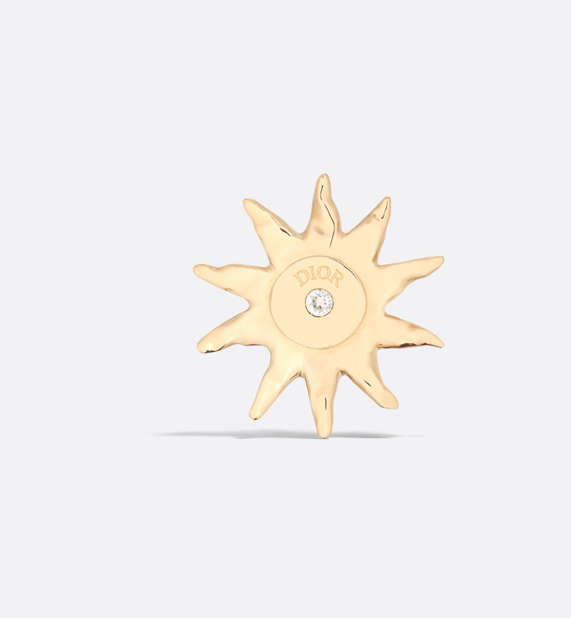 DIOR AND LEWIS HAMILTON Brooch 1