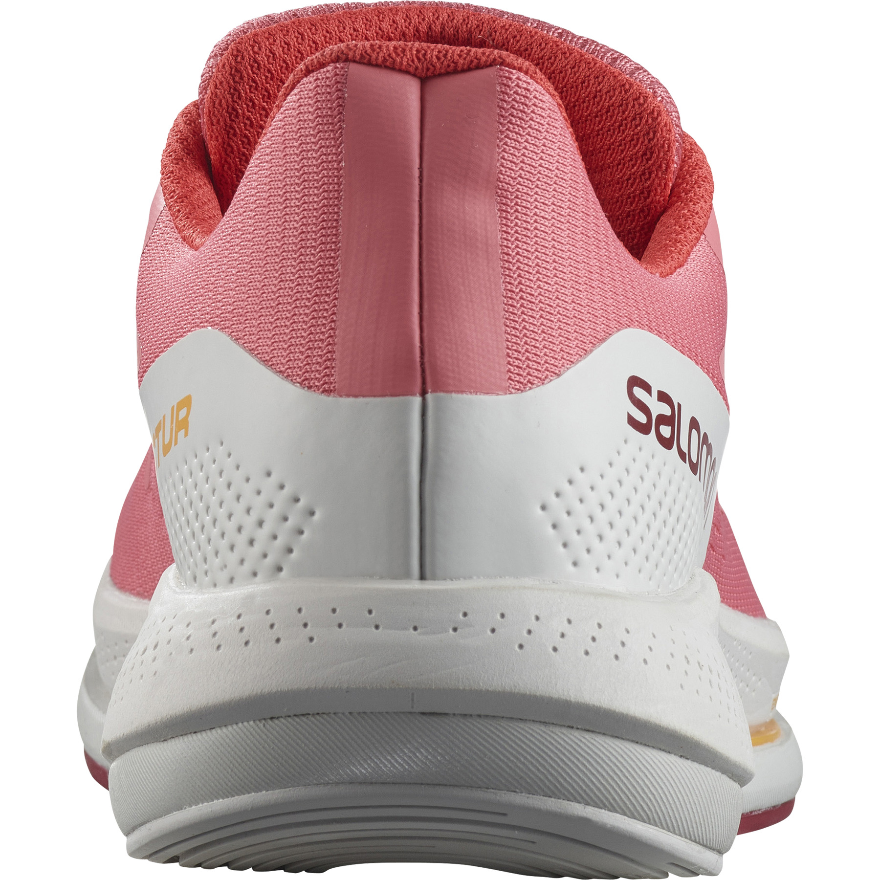 SPECTUR - 7