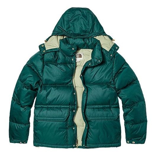 THE NORTH FACE Nuptse Jacket NF0A821N-D7V - 1