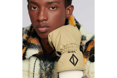 Dior DIOR AND PETER DOIG CD Diamond Ski Mittens outlook