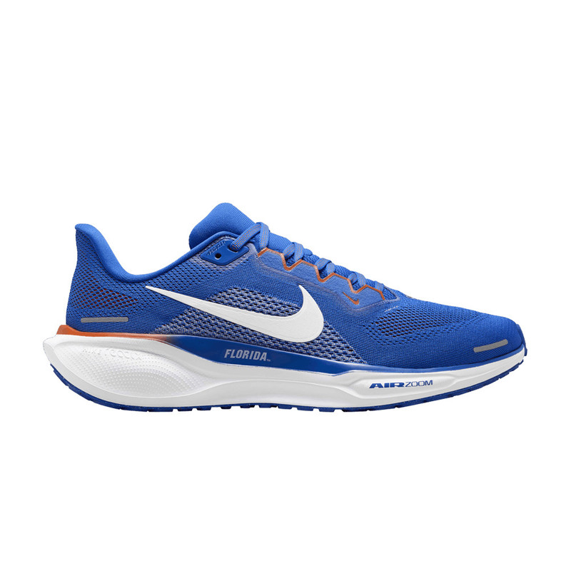 Air Zoom Pegasus 41 'Florida' - 1