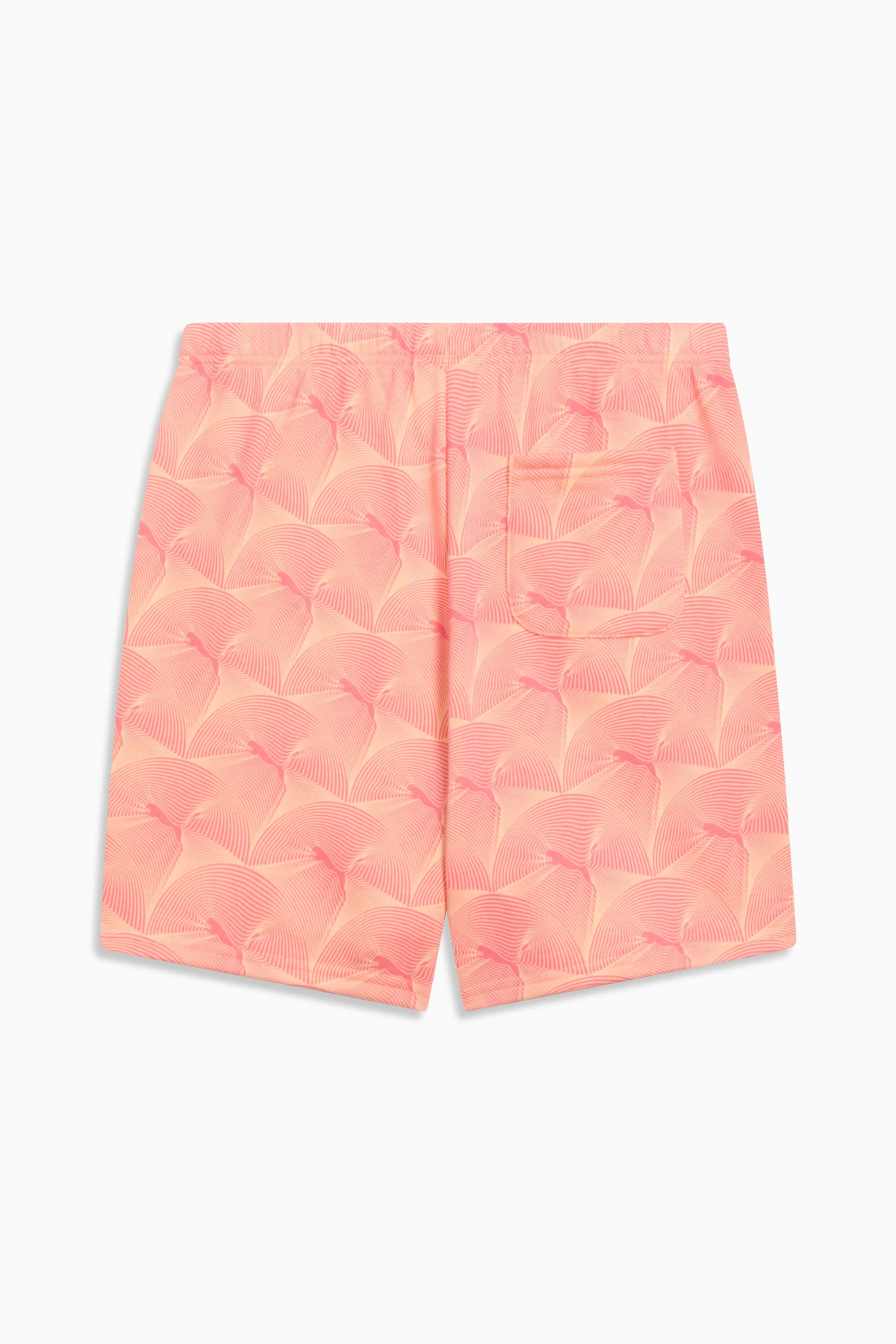 ESSENTIALS GRAPHIC Women's High-Rise 5" Shorts - 2