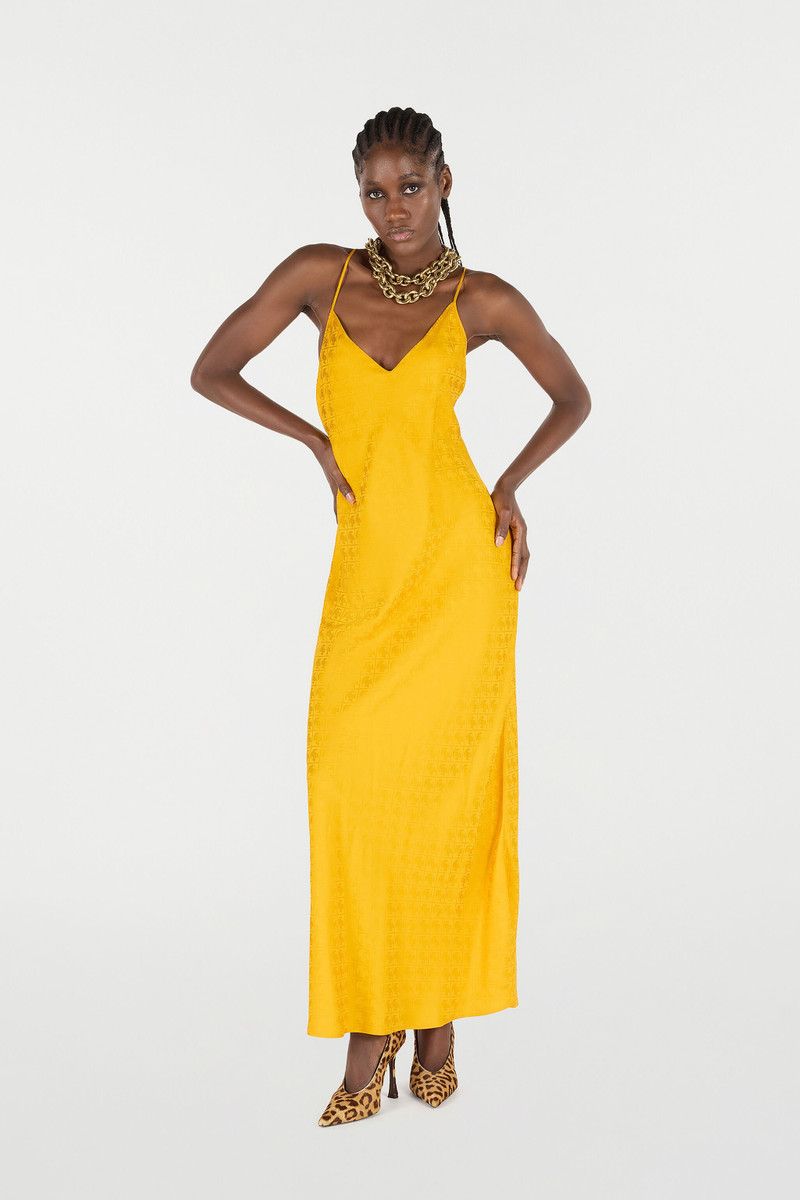 Roberto Cavalli Long Dress with Mirror Snake Monogram outlook