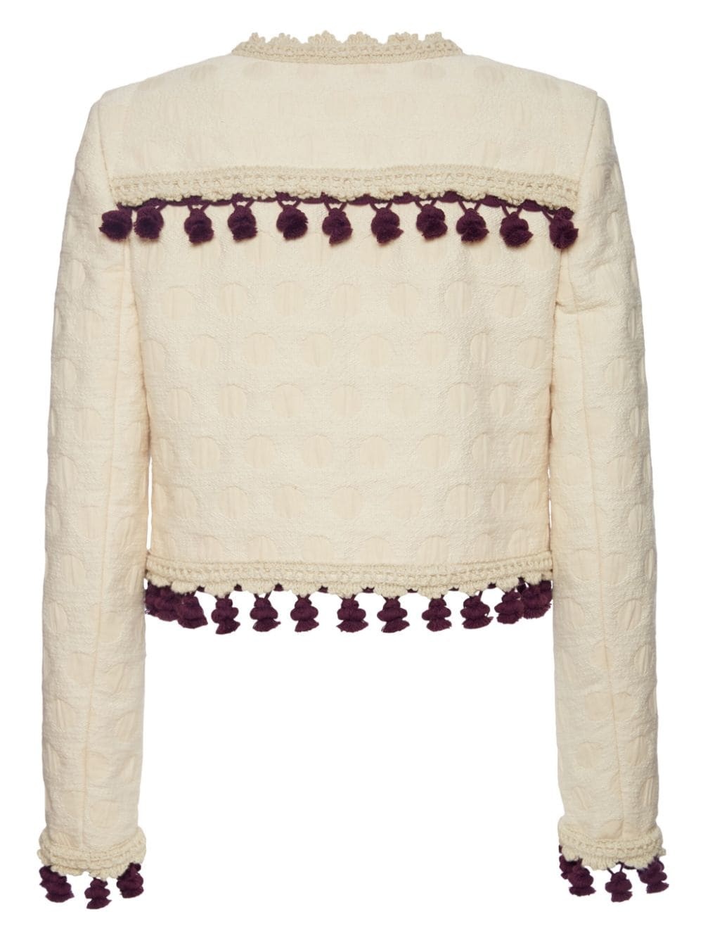 Bijoux embroidered cropped jacket - 5
