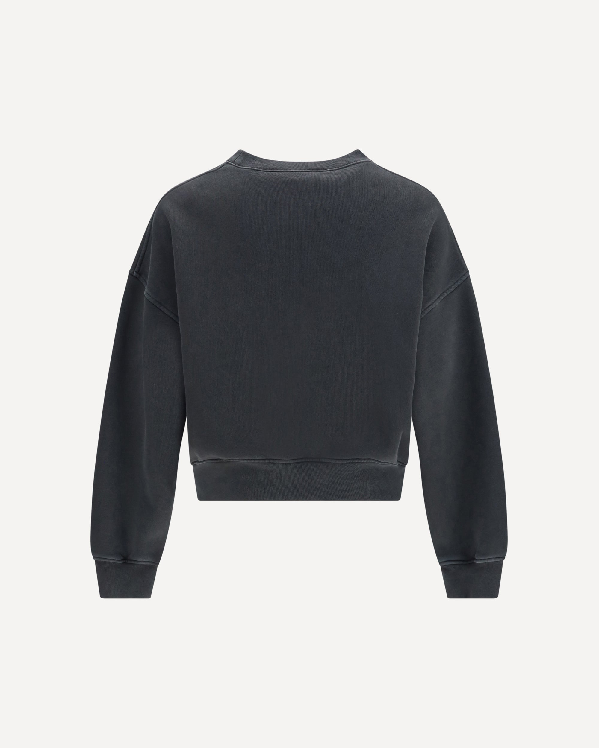 Dollar Loose Crew Vintage Sweatshir - 2
