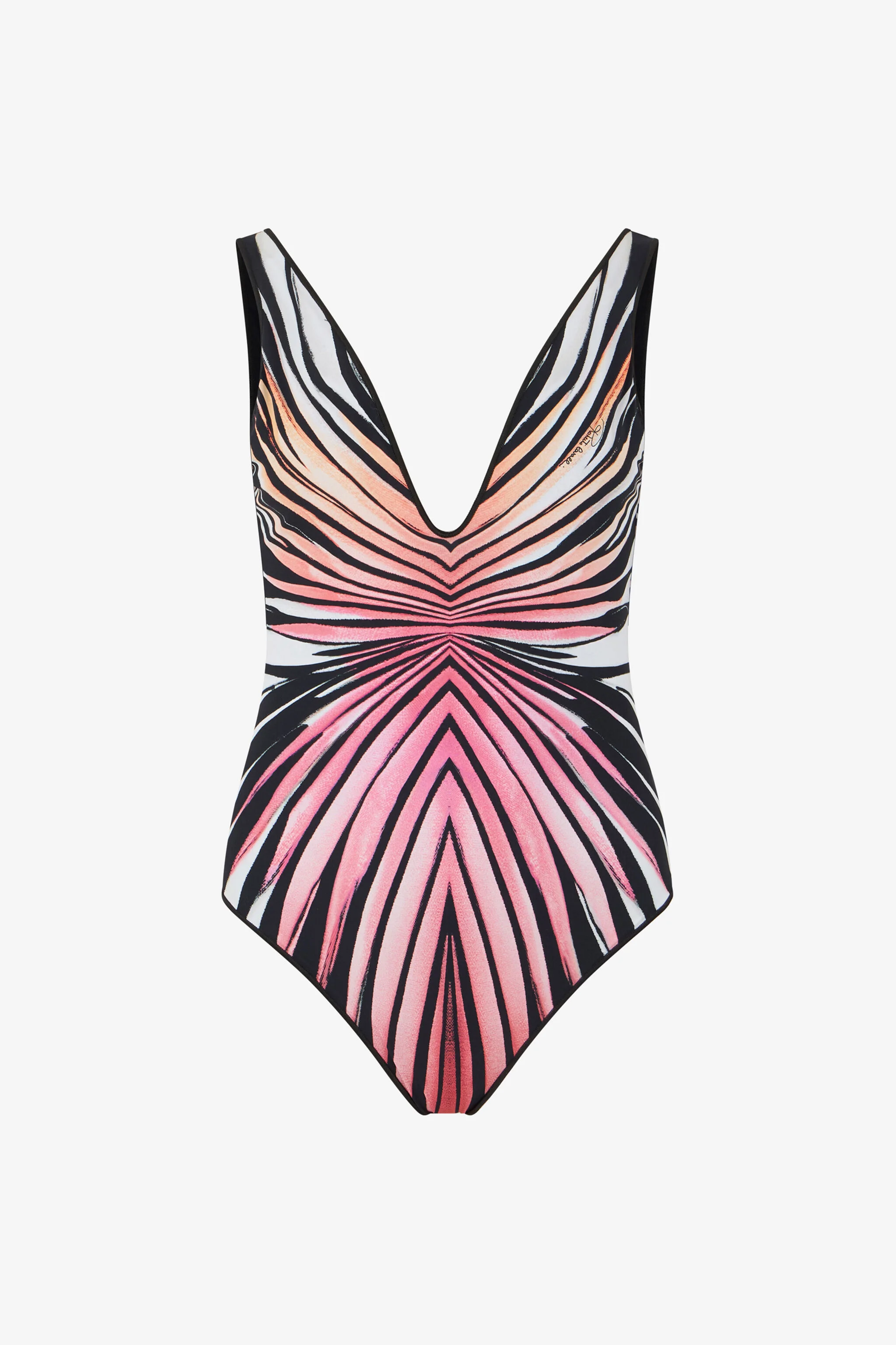 Ray Of Paradise Print Swimsuit - 1