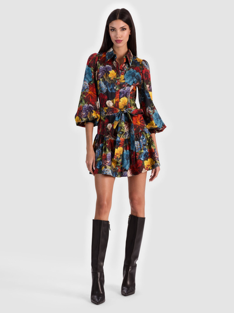 LILY MINI SHIRT DRESS 2
