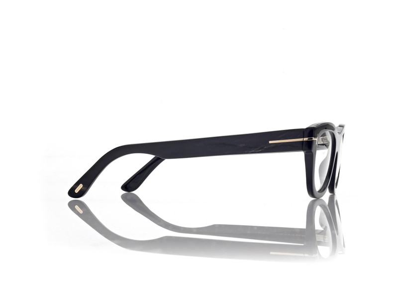 RECTANGULAR HORN OPTICALS 3