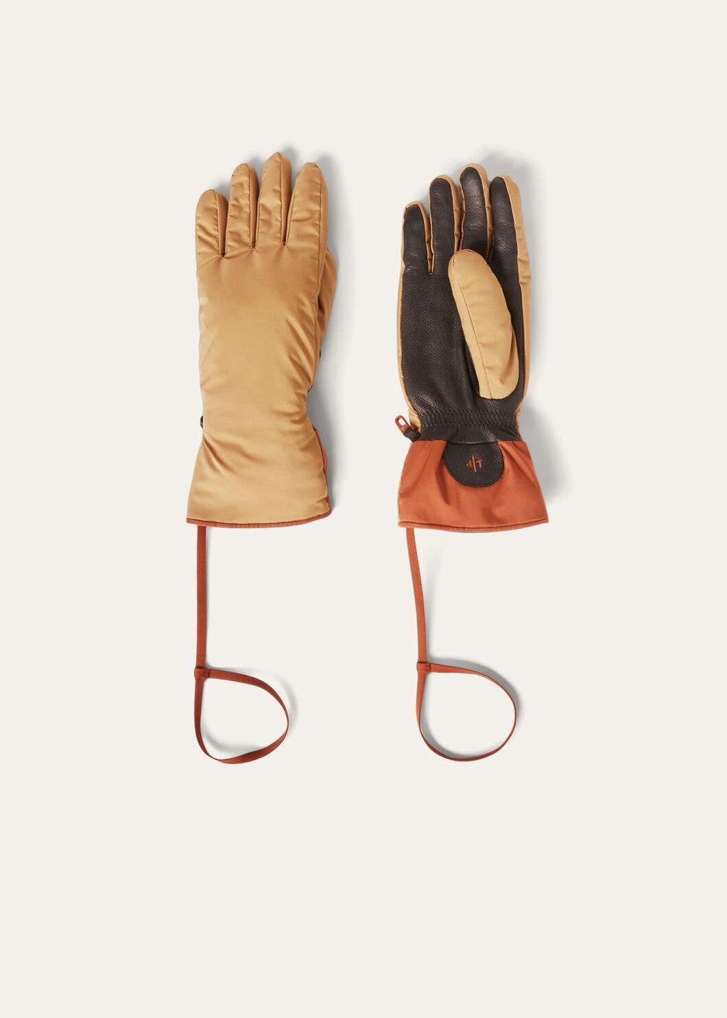 Ski Glove - 2
