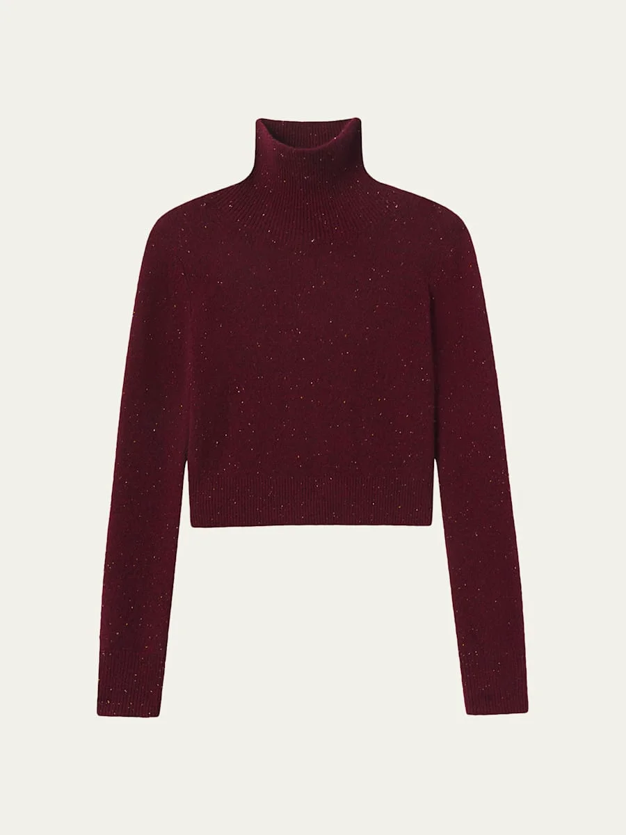 The Cashmere Fleck Turtleneck - 1