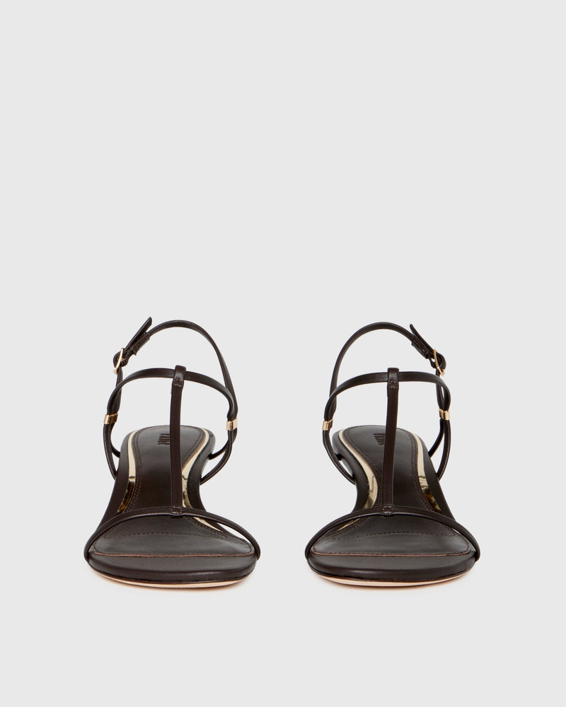 Daryn Wedge 4