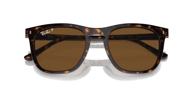 Ray-Ban RB2210 outlook