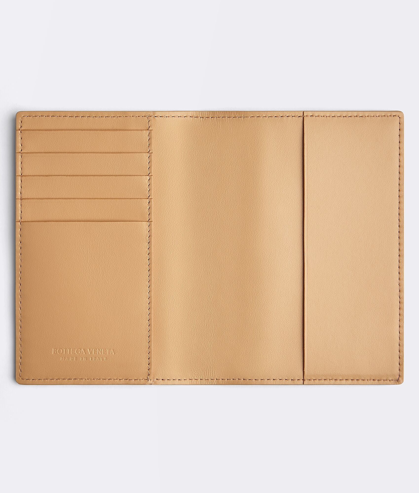 passport case - 2