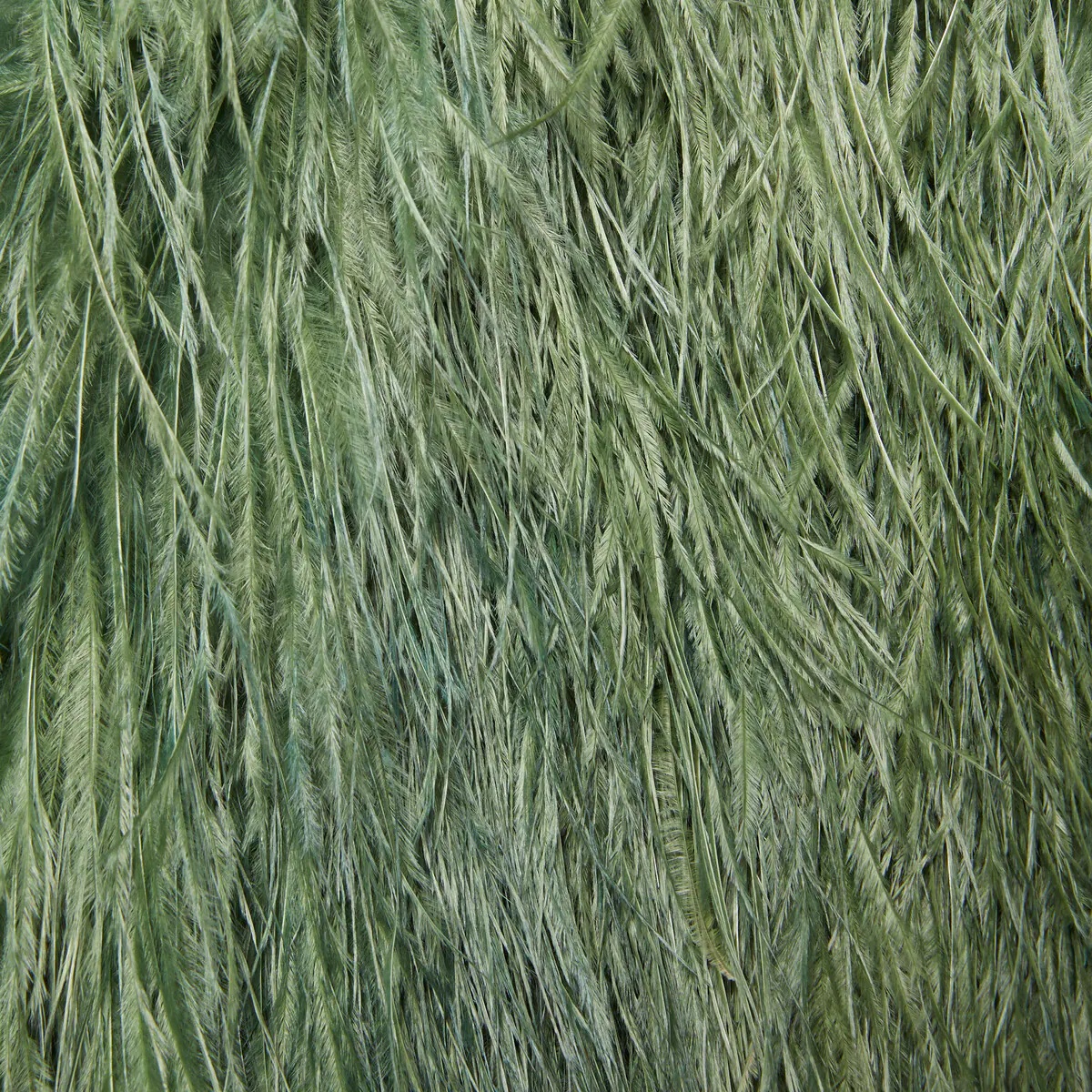 Vest with feathers - 6