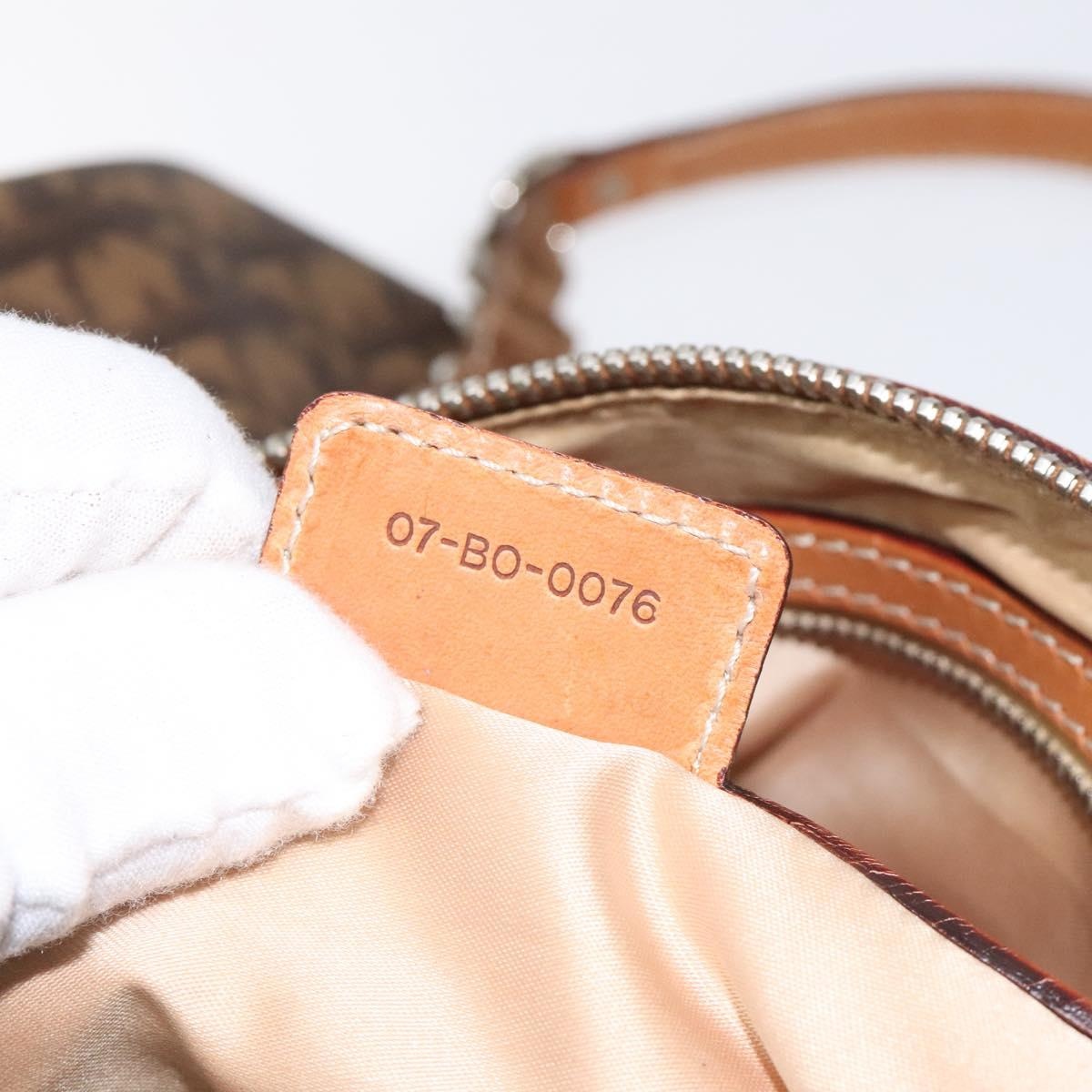DIOR Romantic Trotter Canvas Hand Bag Brown - 12