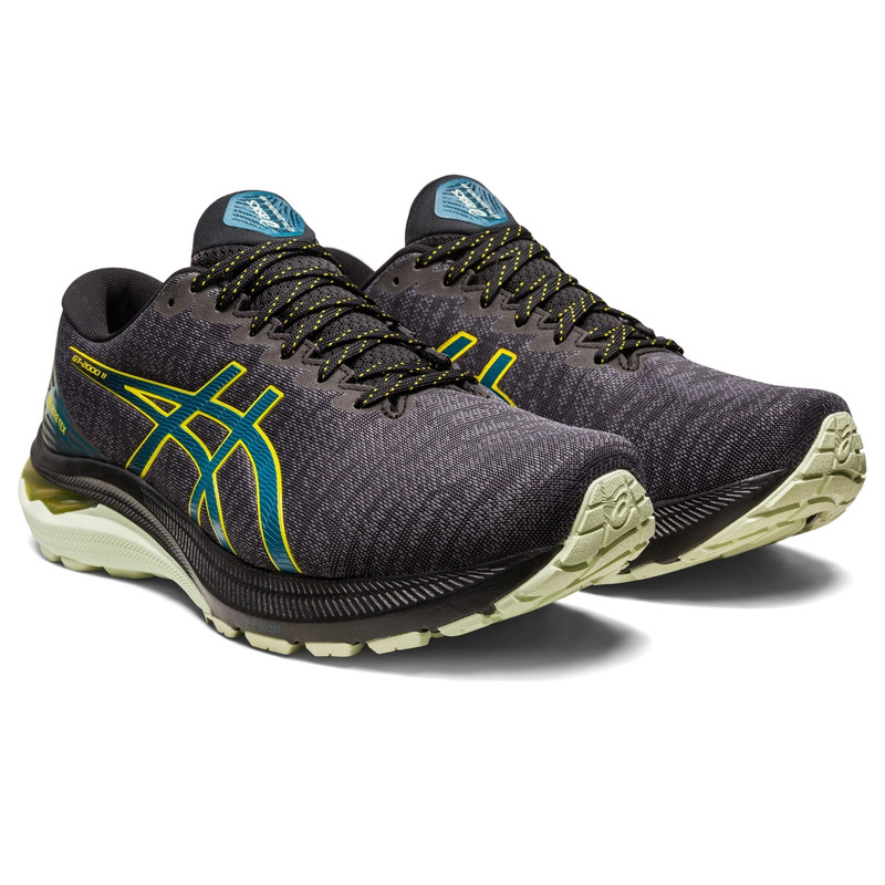 Asics GT-2000 11 GTX outlook