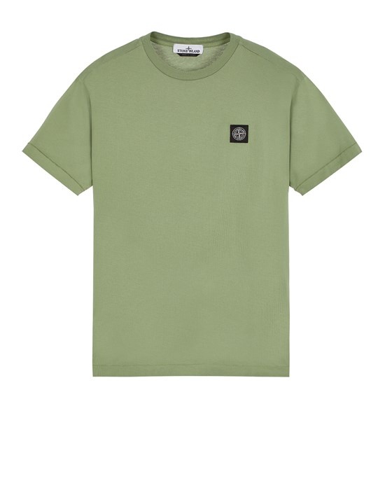 24113 SAGE GREEN - 1