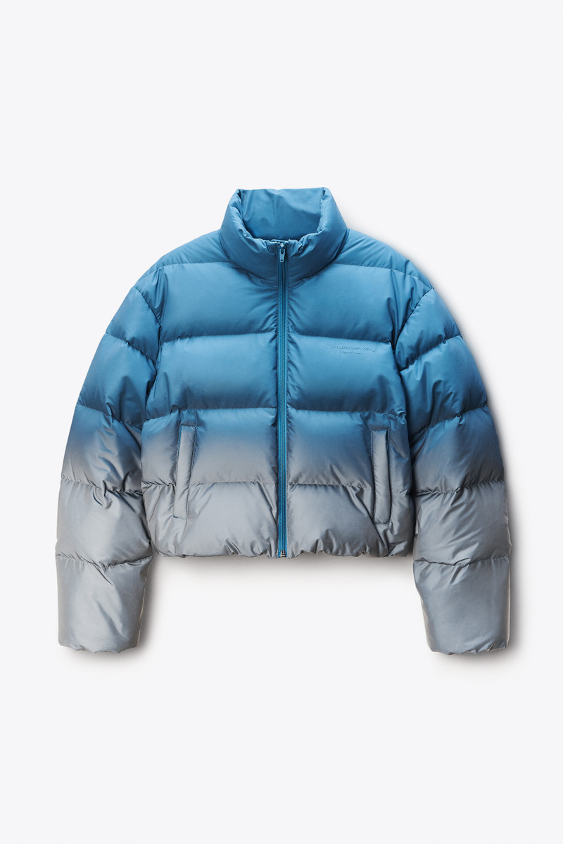 Reflective Cropped Puffer 1