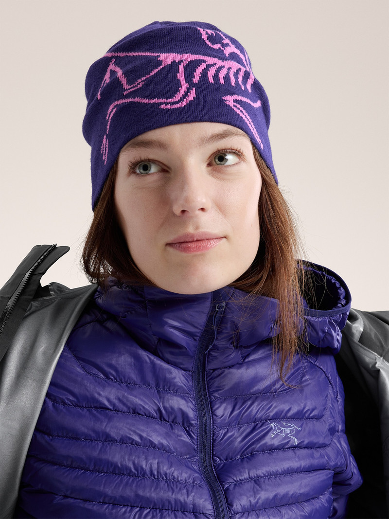 Arc'teryx Lightweight Bird Head Toque outlook