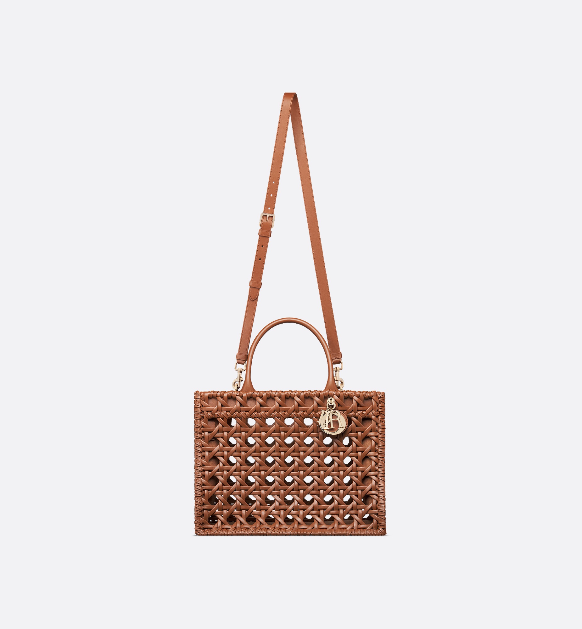 Medium Dior Book Tote 4