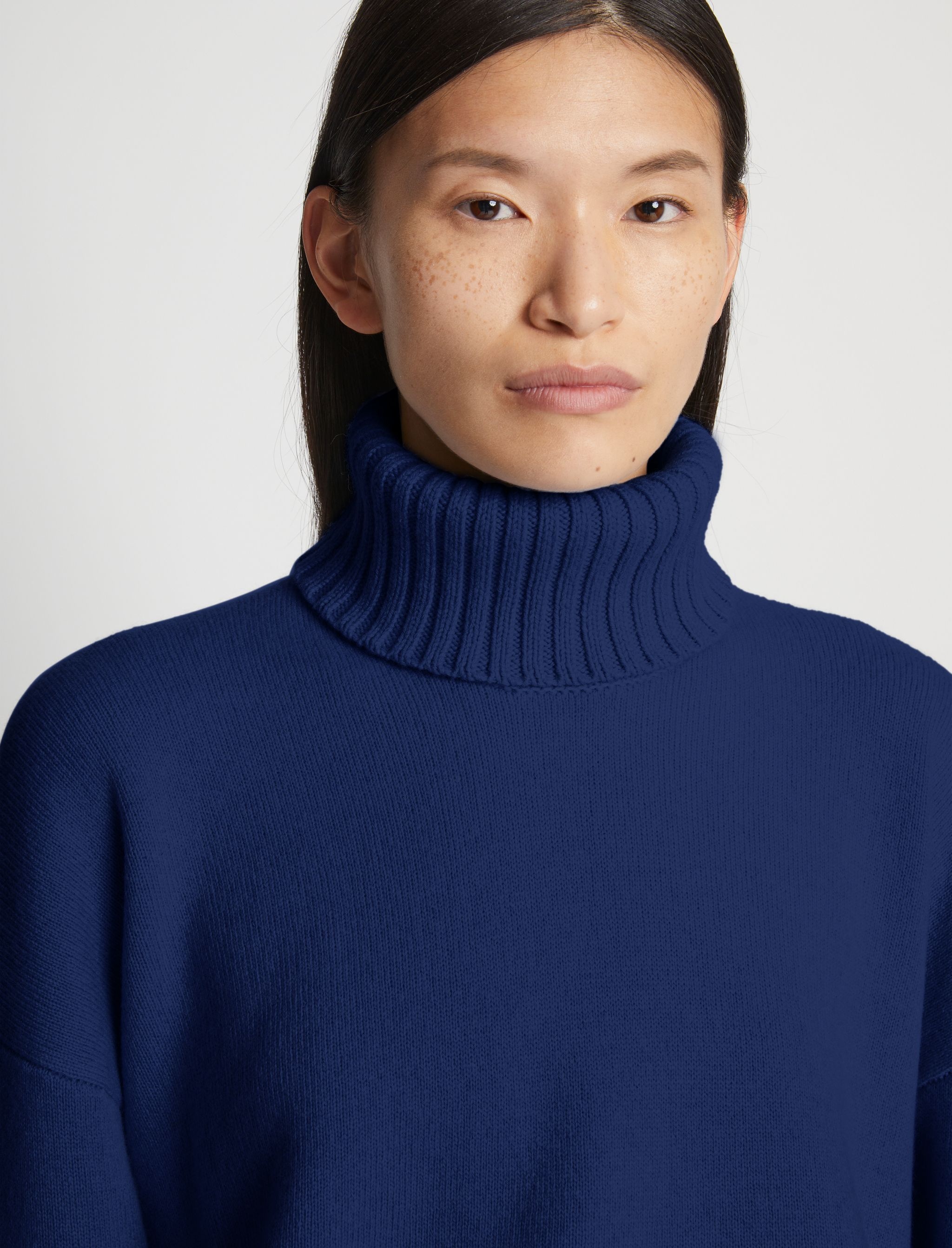 Doubleface Cashmere Oversized Turtleneck - 6
