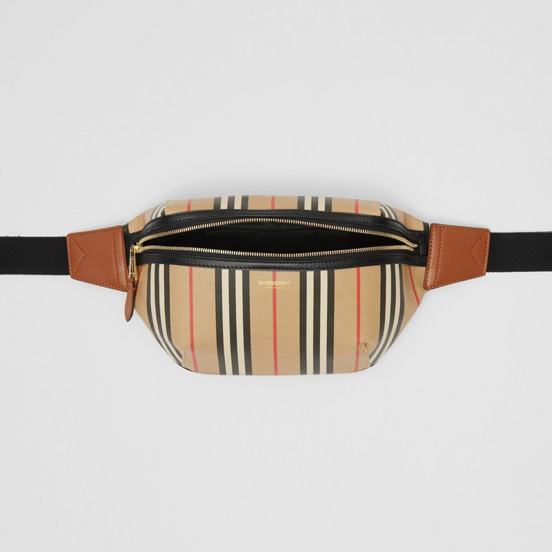 Icon Stripe Sonny Bum Bag 6