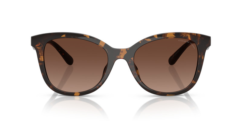 COACH HC8419U CAD25 outlook