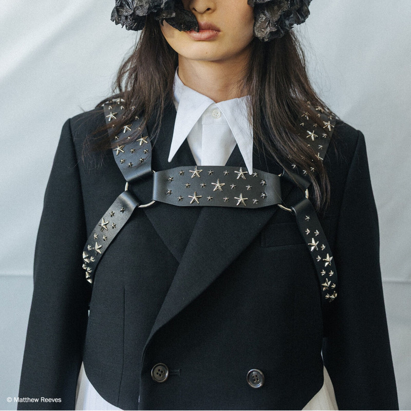 JIMMY CHOO Jimmy Choo noir kei ninomiya All Stars Harness
Black Smooth Calf Leather Harness with  Metal Multi S outlook