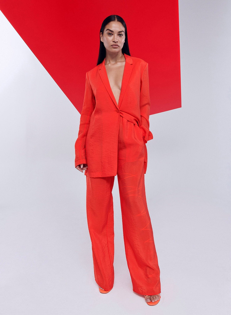 Sheer Cupro Single Breasted Blazer 2