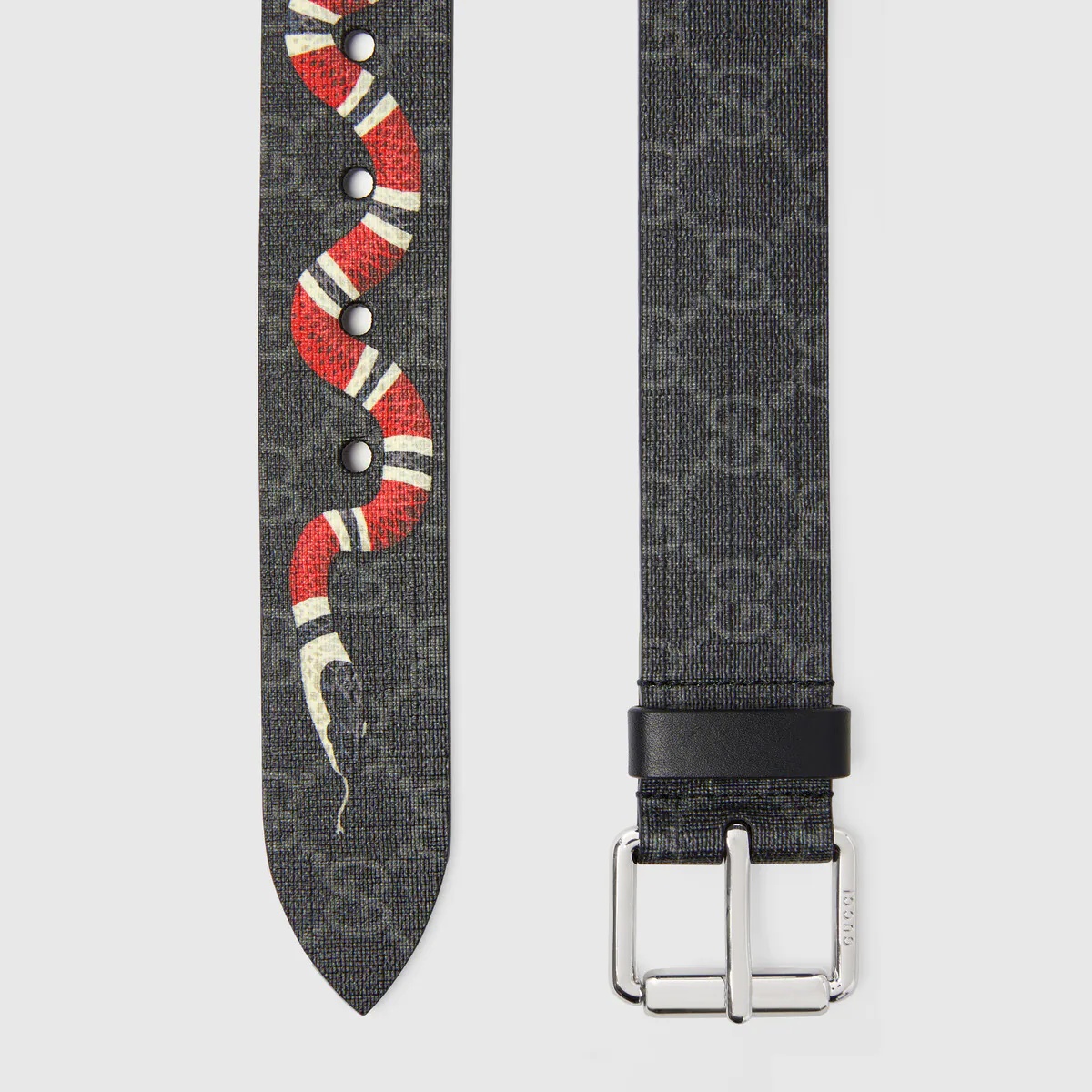 GG belt with Kingsnake print - 2