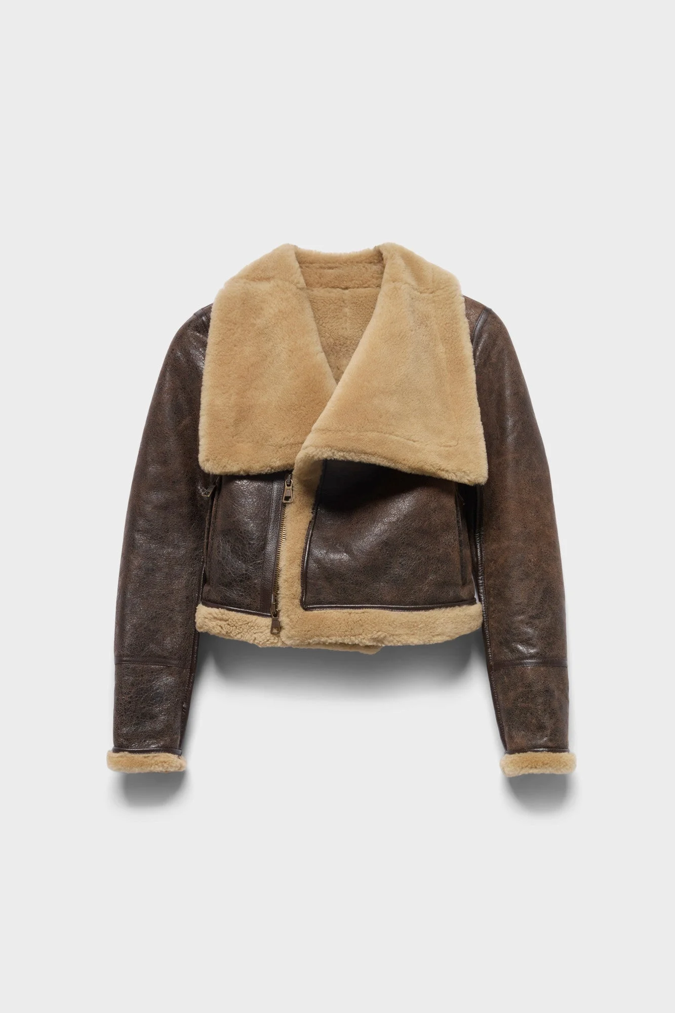 HIGH COLLAR SHEARLING JACKET in Leather - 1