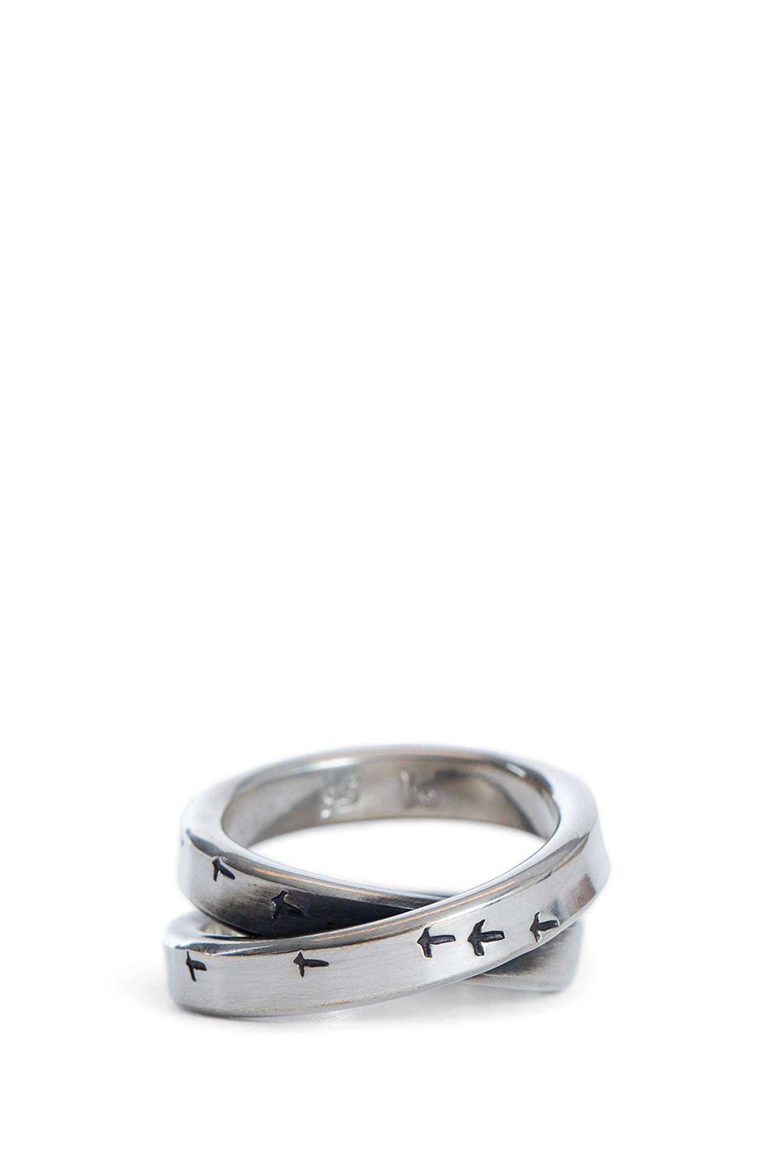 Cross-Ring-Bird-Flight - 2