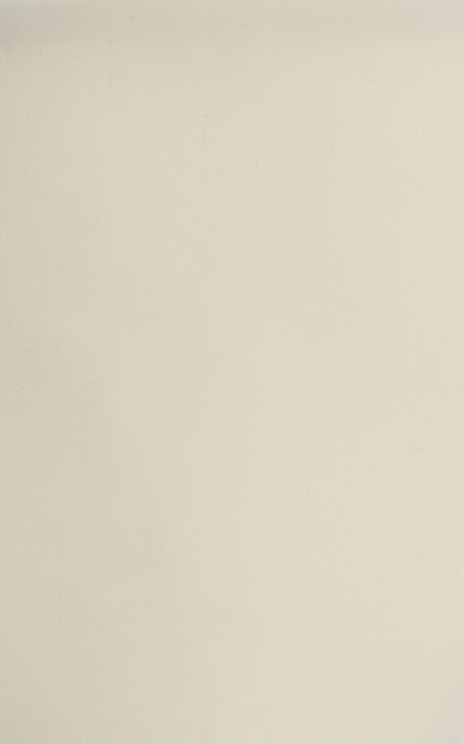 Kaia Bikini Bottoms ivory - 4
